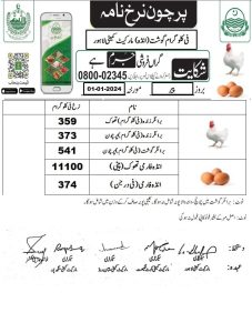 price govt organic desi eggs