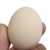 Desi egg rate lahore 2024