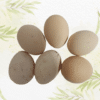 Organic Desi Eggs (24 Pack) - Image 5