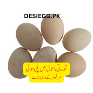 Desi Eggs – 12 eggs | 30 eggs