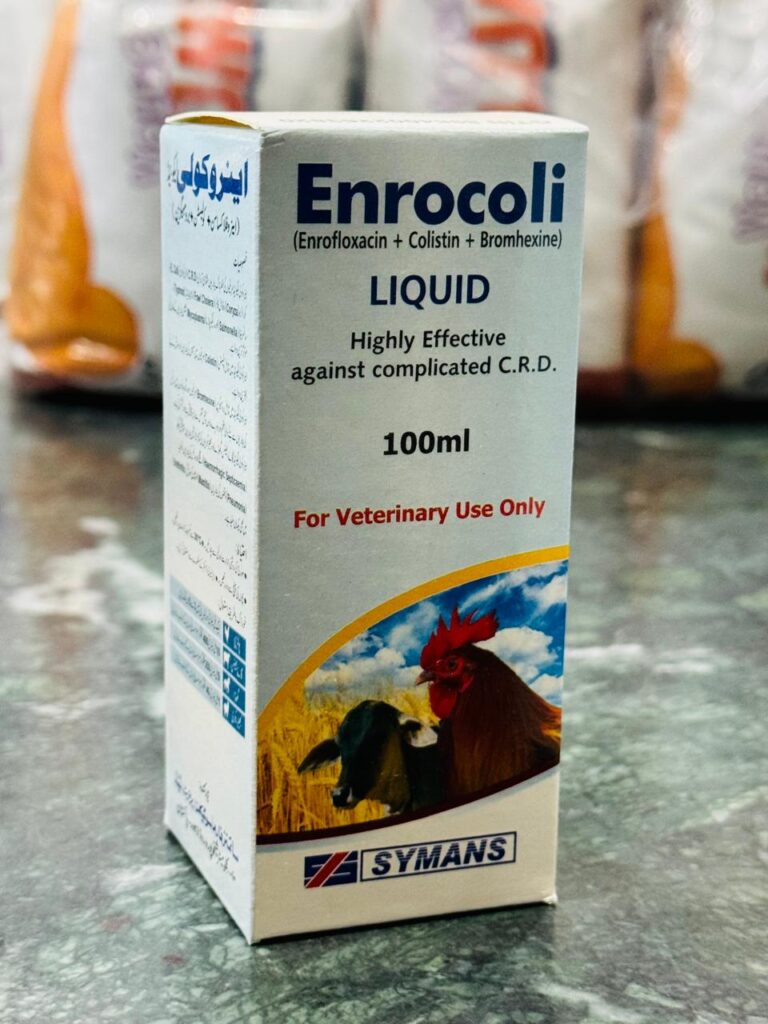 Enrocoli is an effective treatment for bacterial infections, including colibacillosis, helping restore the health of infected hens