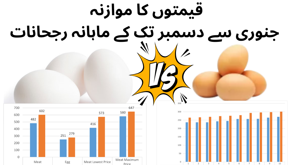 brown egg vs white egg