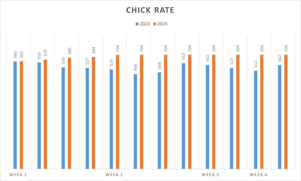 Weekly comparison of chicken rates for September 2023 and 2024