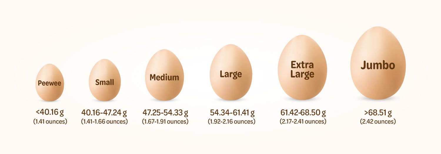 Egg Size Options