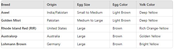 Egg Shell Color Options