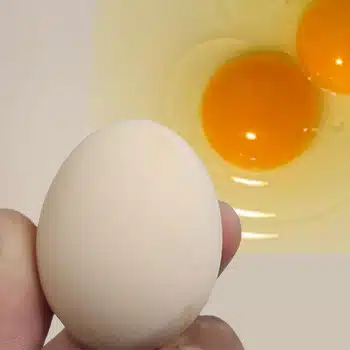 The Truth About Desi Eggs