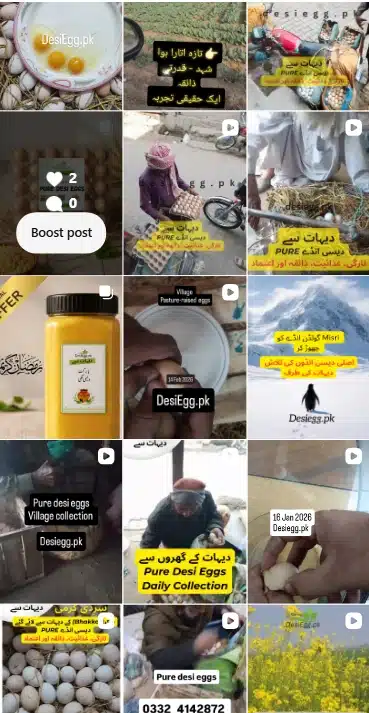 DesiEgg Instagram feed — village desi eggs, ghee, honey and chicken