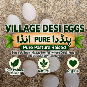 pre desi eggs