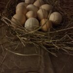 Best Pure Desi Eggs – Free-Range Premium 12 | Fresh & Organic 12 Organic village desi eggs in Lahore – natural, hormone-free, and fresh