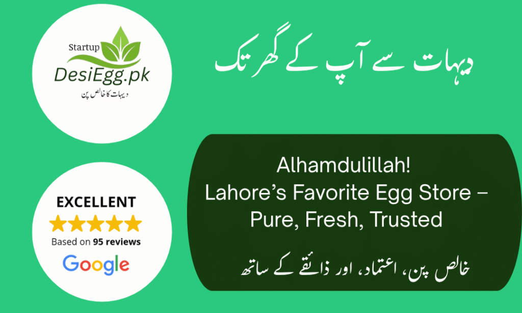 Best Pure Desi Eggs – Free-Range Premium 12 | Fresh & Organic 4 Best desi eggs in lahore