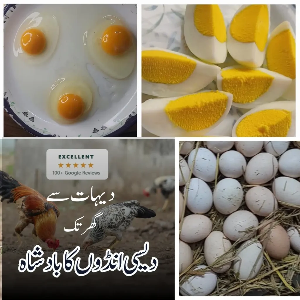 desi eggs in Lahore