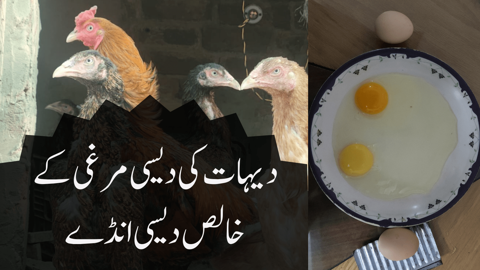 Pure Desi Eggs