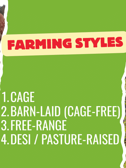 Visual comparison of egg farming styles in Pakistan showing caged hens on the left and pasture-raised desi hens on the right, with a list of four common farming types: Cage, Barn-Laid (Cage-Free), Free-Range, and Desi/Pasture-Raised.