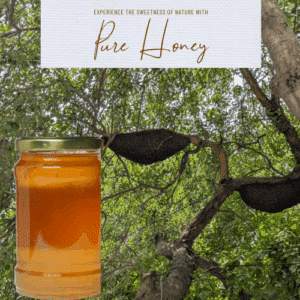 Pure Orange Blossom Honey with Wild Beehives – Freshly Harvested from Hasilpur