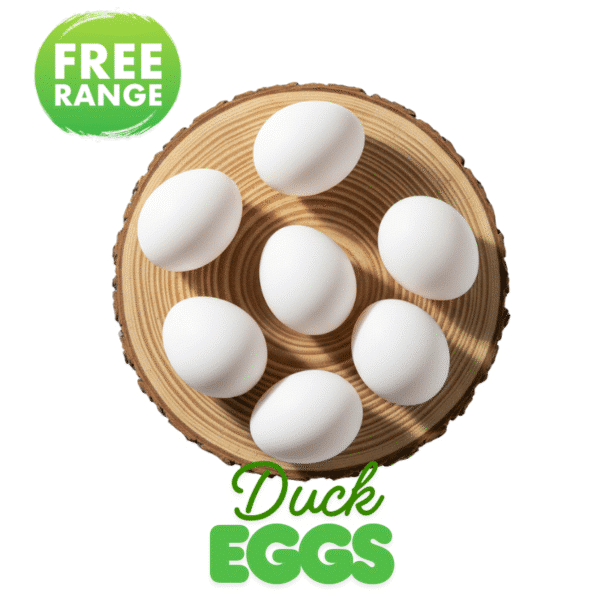 Buy fresh duck eggs in Lahore for cooking and baking