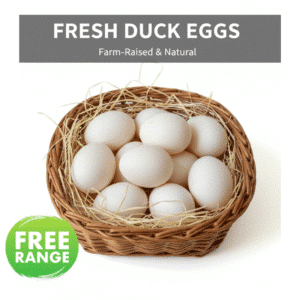 Organic duck eggs in Lahore with rich yolk and nutrition