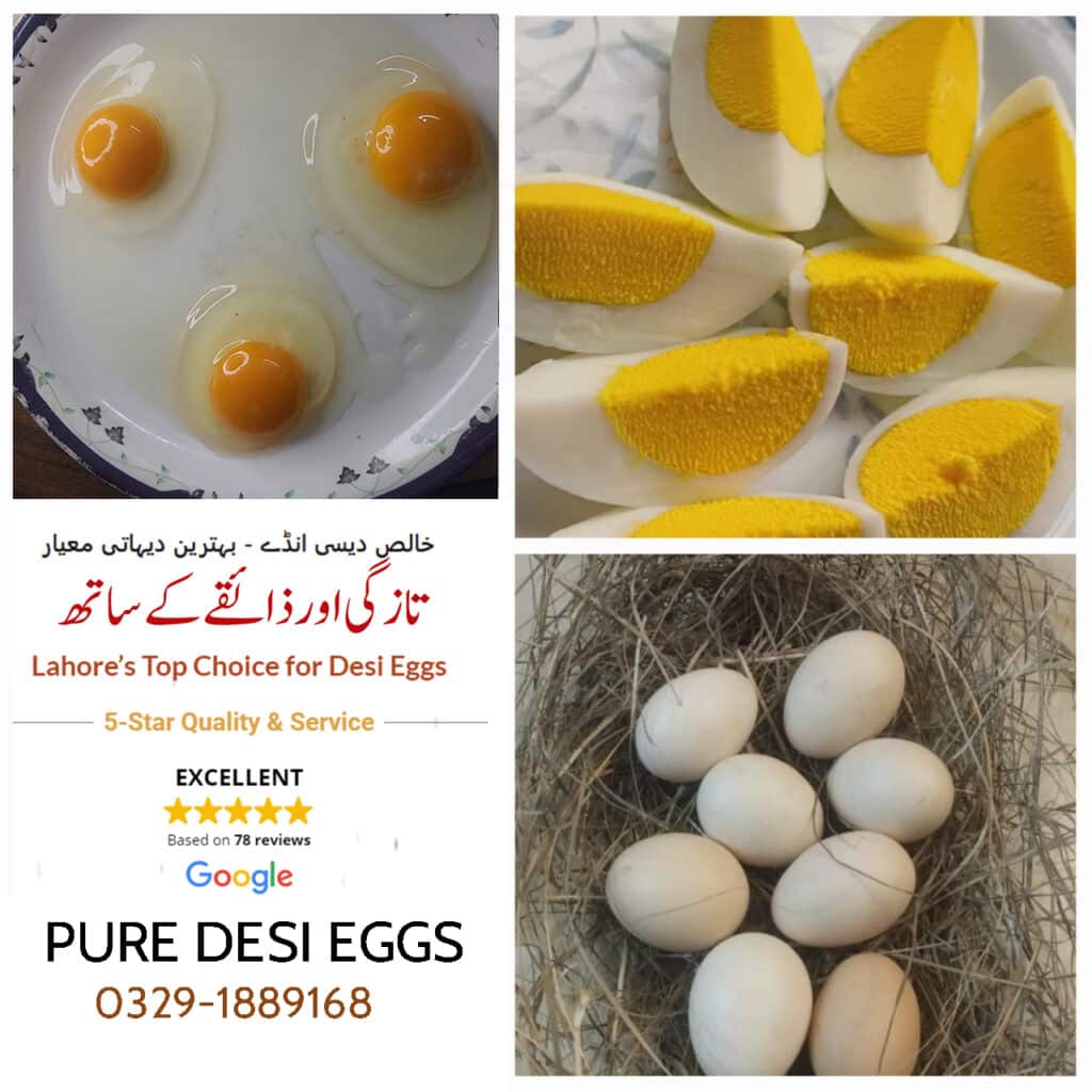 Pure desi eggs