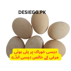 Desi eggs pure natural eggs with clean shell