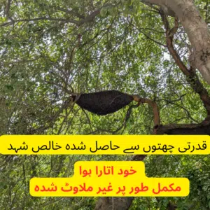 Pure wild honey harvested by hand from natural tree beehives, unadulterated and raw