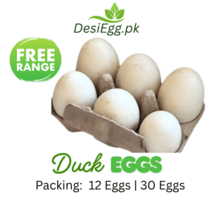 Duck Eggs Lahore | Fresh Free Range