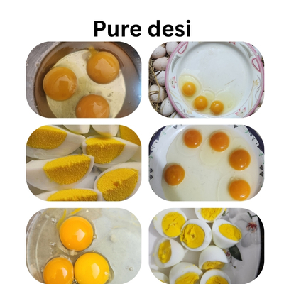 Pure Desi, Desi, or Omega-3 — Choosing What Suits You Best 2 Pure desi village eggs collage
