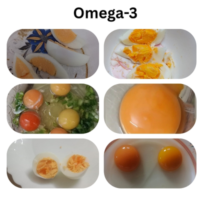 Pure Desi, Desi, or Omega-3 — Choosing What Suits You Best 3 Omega-3 enriched eggs collage
