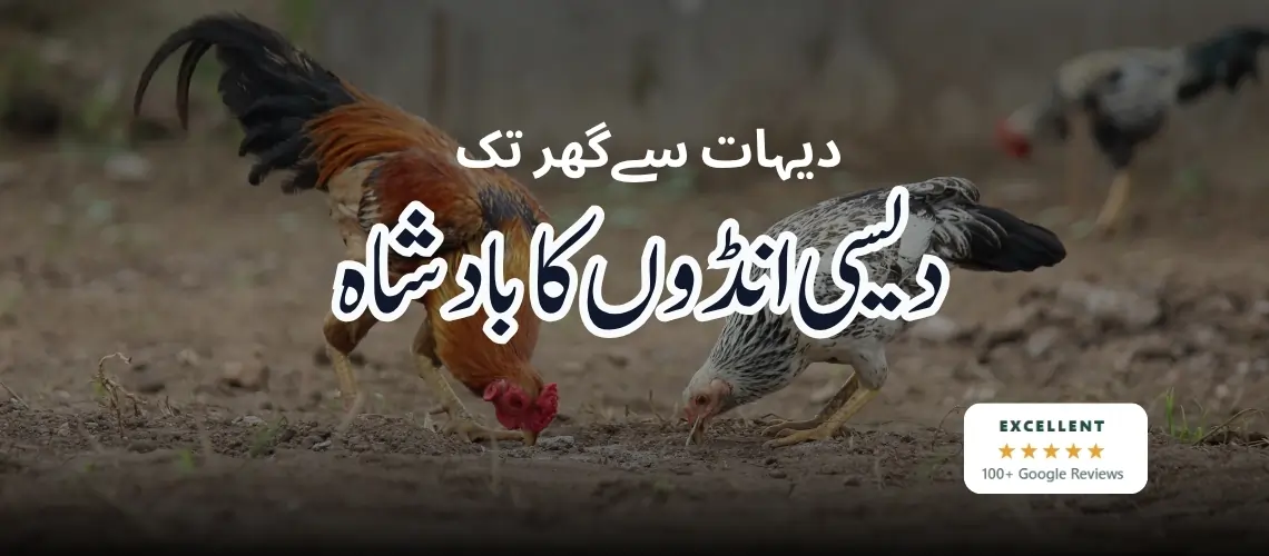 DesiEgg.pk — fresh desi eggs delivered in Lahore