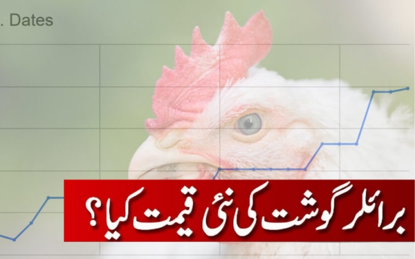 Desi Eggs - No. 1 Review Store by Customers in Lahore 12 Kon se Months ma sasta?