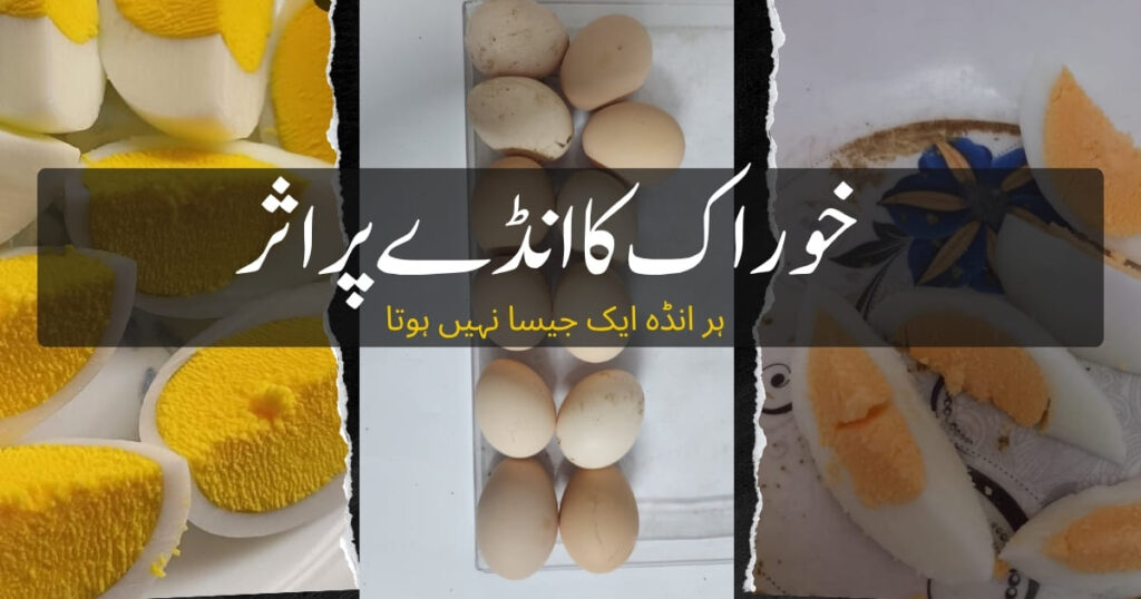 Pure Desi, Desi, or Omega-3 — Choosing What Suits You Best 1 desi eggs in Lahore