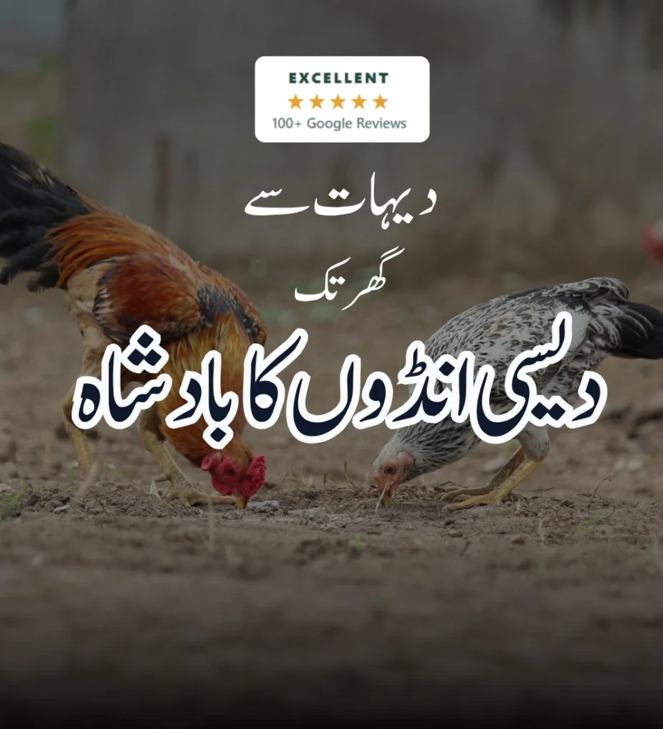 desi eggs in Lahore
