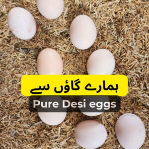 Desi Eggs - No. 1 Review Store by Customers in Lahore 9 Pure Desi Eggs (Village) – 12 eggs | 30 eggs
