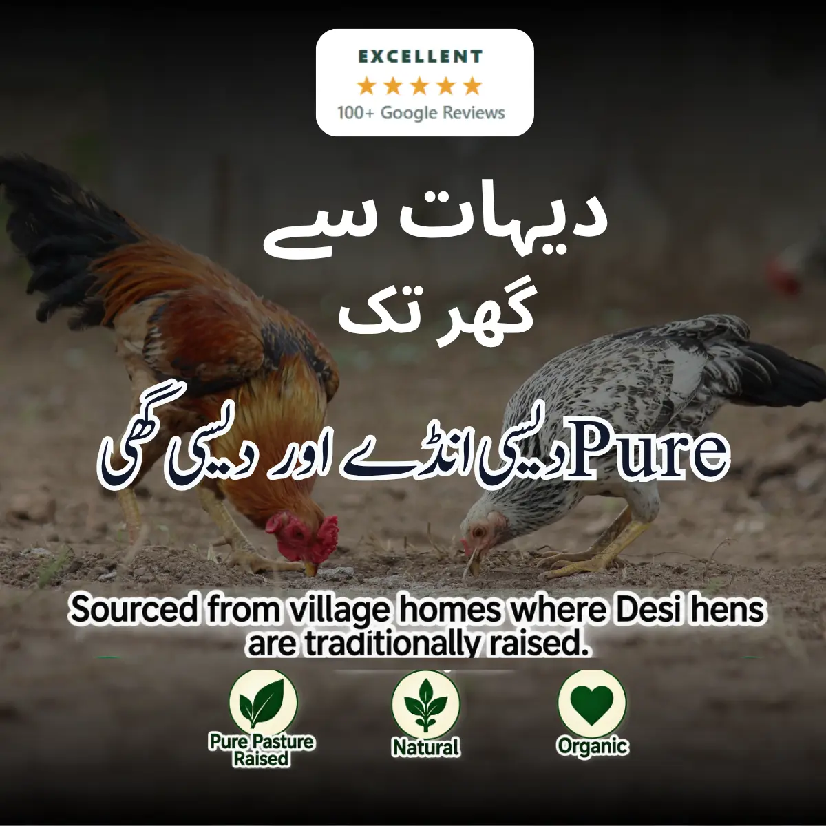 Pure Desi Eggs in Lahore – Fresh Village Eggs