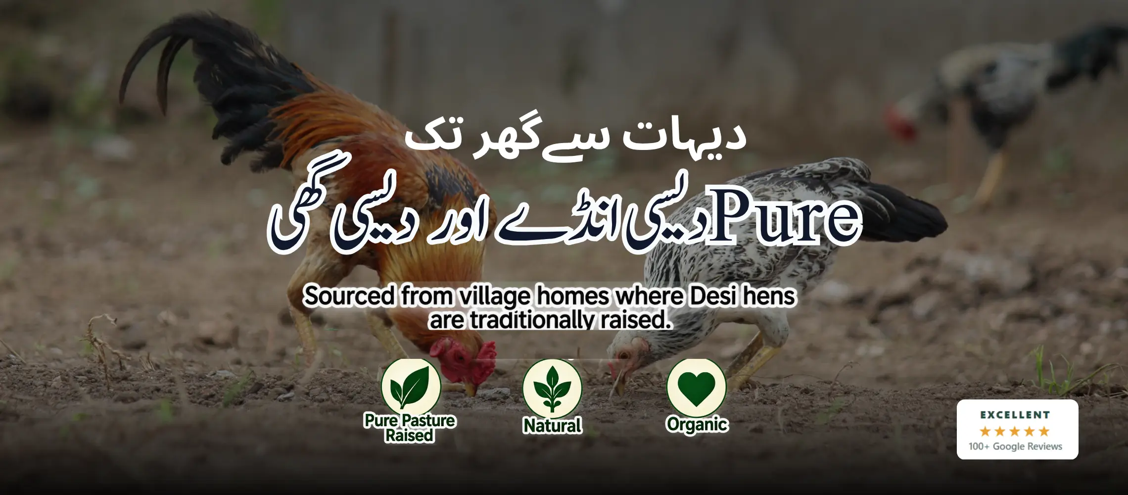 Pure Desi Eggs in Lahore – Fresh Village Eggs