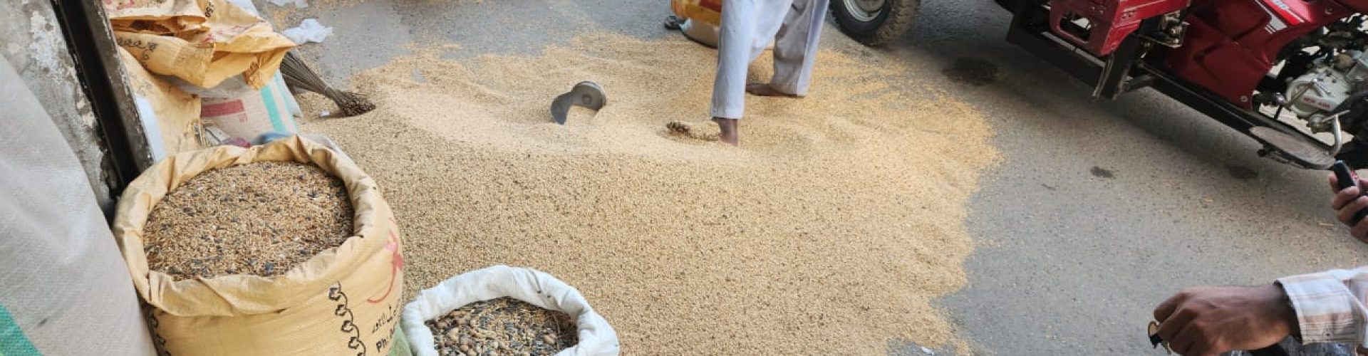 Hens Feed organic feed