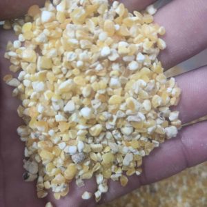 corn for hens A rich energy source, providing carbohydrates.