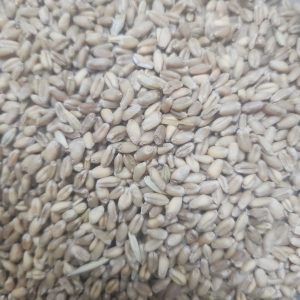 wheat Provides additional carbohydrates and fiber.